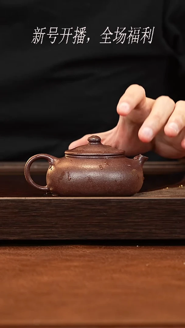 茶壶紫砂20y02深井老紫泥寒江