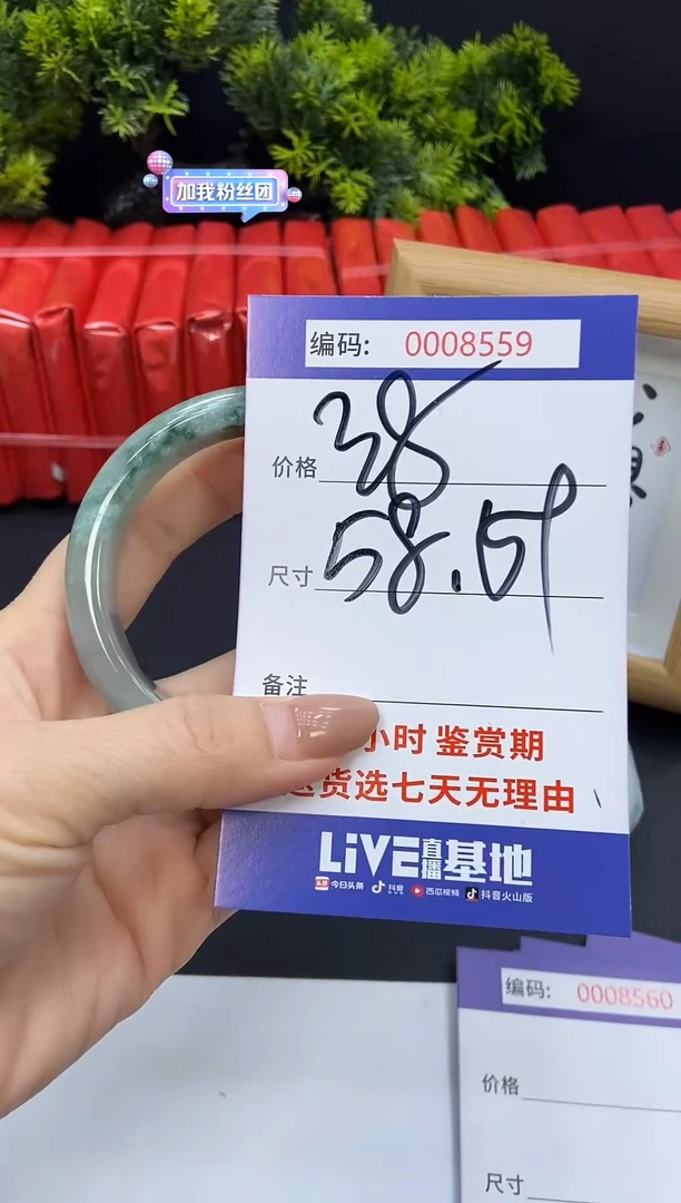 未镶嵌手镯翡翠0008559