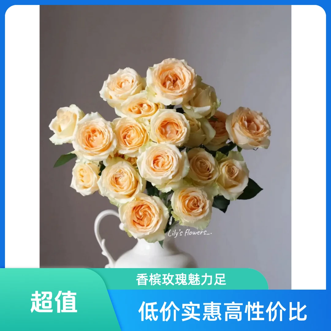特价（鲜花次日达）10支香槟玫瑰32块8（任意两单有小礼品）
