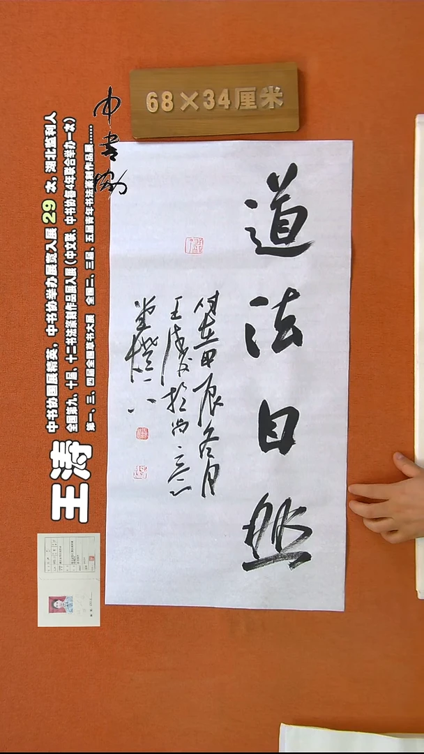 【闪购商品】书法259王涛书法作品