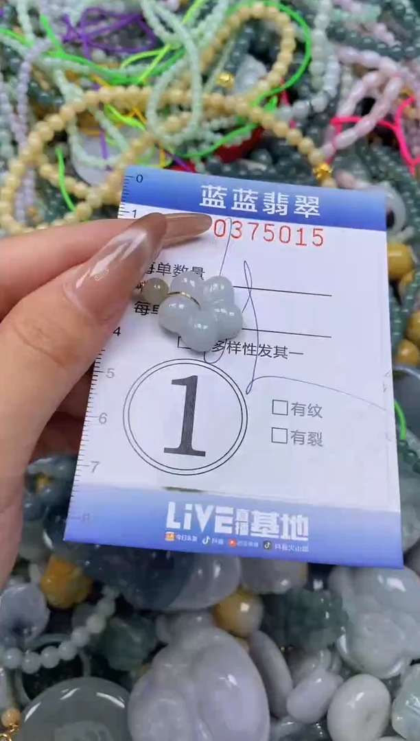 颈饰未镶嵌翡翠闪购0375015