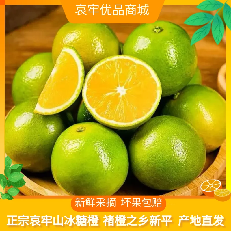 云南哀牢山冰糖橙正宗2025新鲜水果应季橙子皮薄汁多现摘产地直发