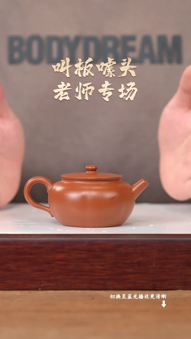 茶壶紫砂EF17129郑志涛六瓣花