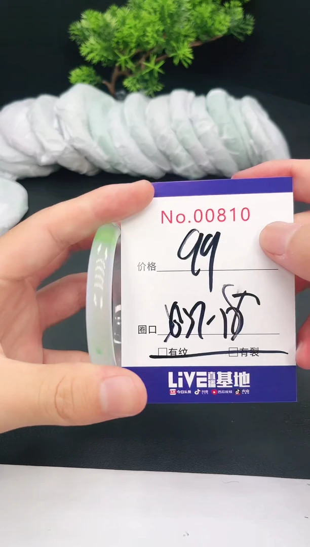 未镶嵌手镯翡翠00810