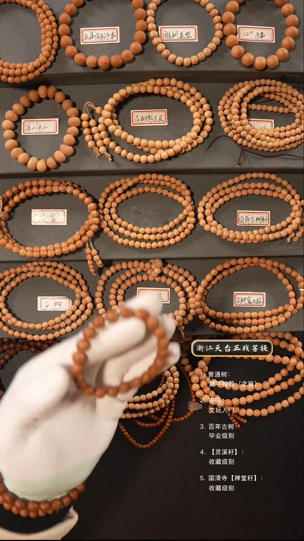 【闪购商品】五线菩提吊坠原皮手串