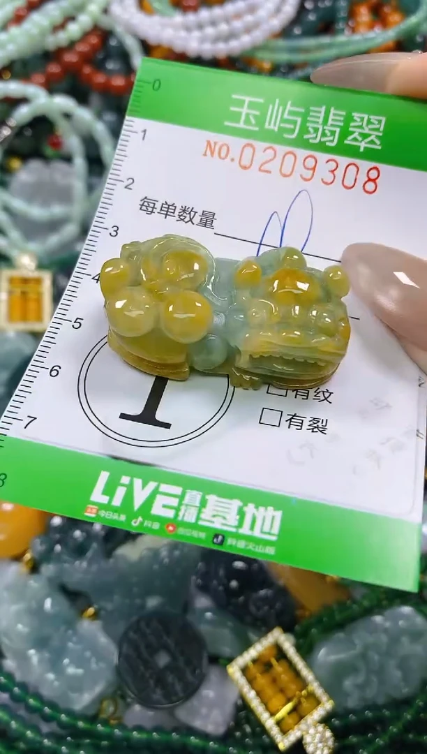 颈饰未镶嵌翡翠阳****8闪购0209308