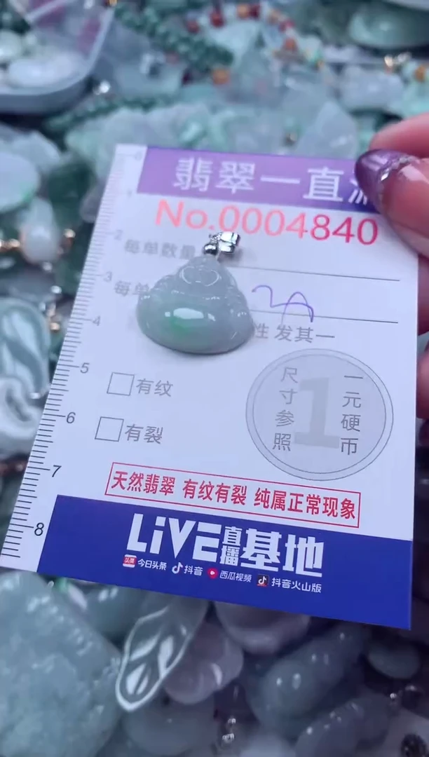 翡翠未镶嵌吊坠(不含链)4840