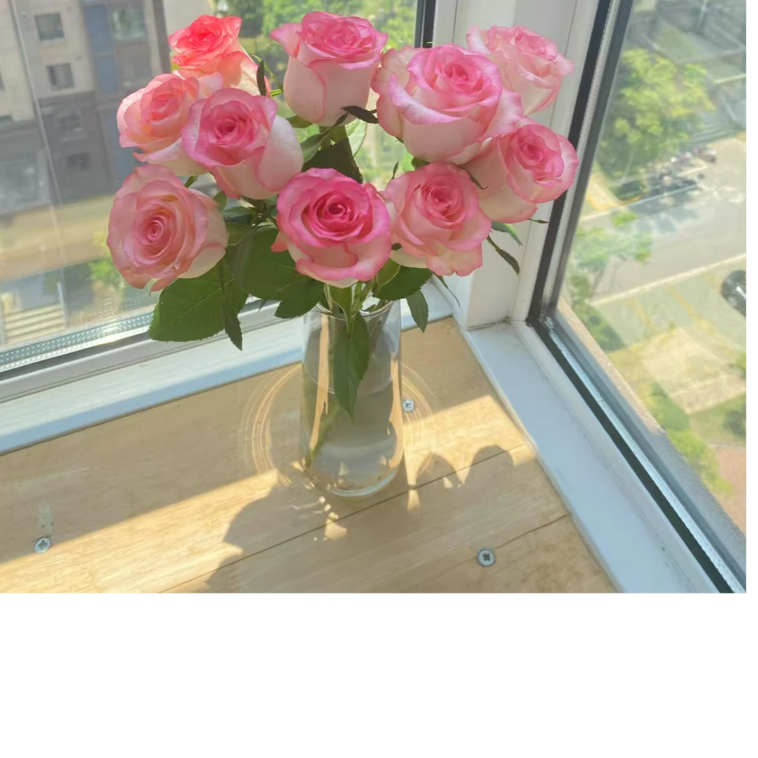 爱莎玫瑰鲜花【次日达】10支鲜花全场任意两单顺丰包邮