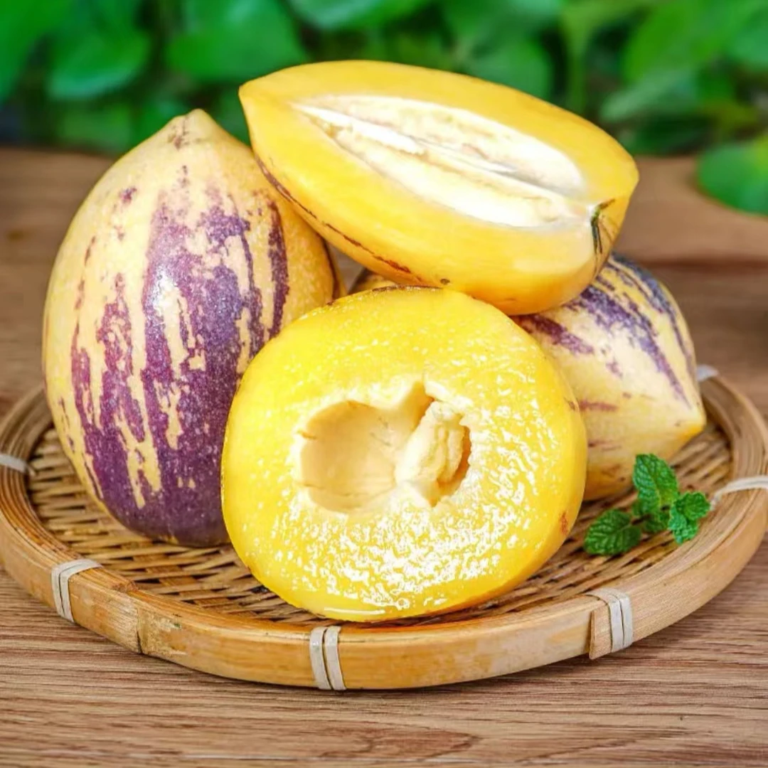 【普快】甘肃民勤沙漠人参果新鲜当季低糖水果