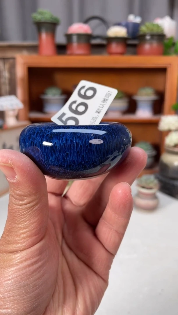 瓷片566小芳直播编号