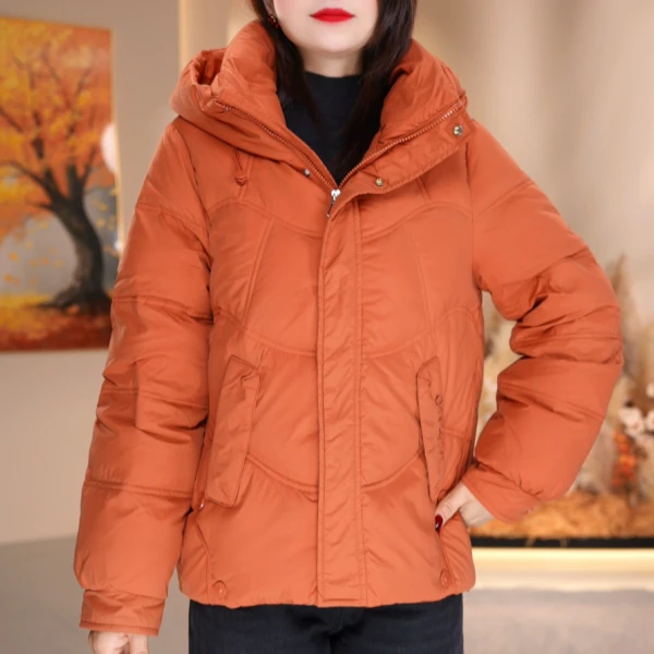 2025新款连帽显瘦休闲时尚气质加厚宽松短款羽绒服9033-1