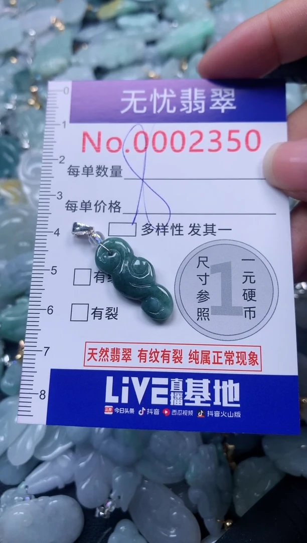 颈饰未镶嵌翡翠2350
