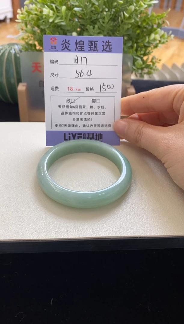 未镶嵌手镯翡翠圈口56.4编码h17