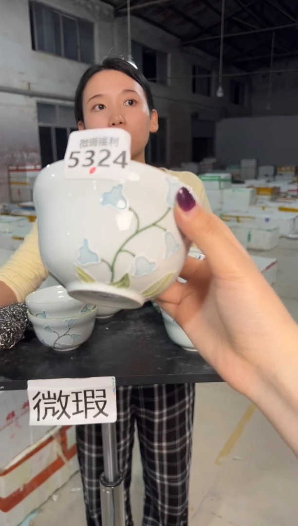 陶瓷景德镇高温釉下手绘陶瓷