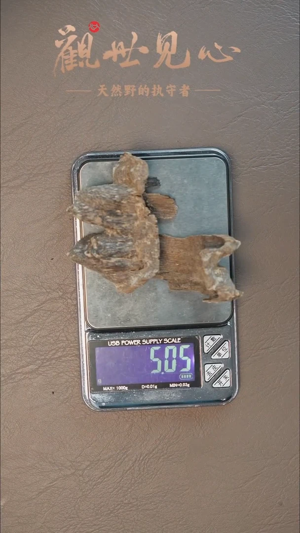 沉香沉香碎屑越南虫漏料  5.05