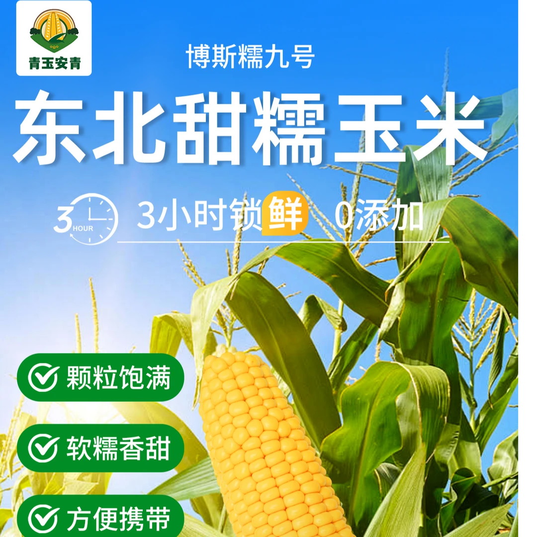 (主播专属东北博斯糯九号粘糯玉米12只装黄糯玉米(新鲜甜糯玉米