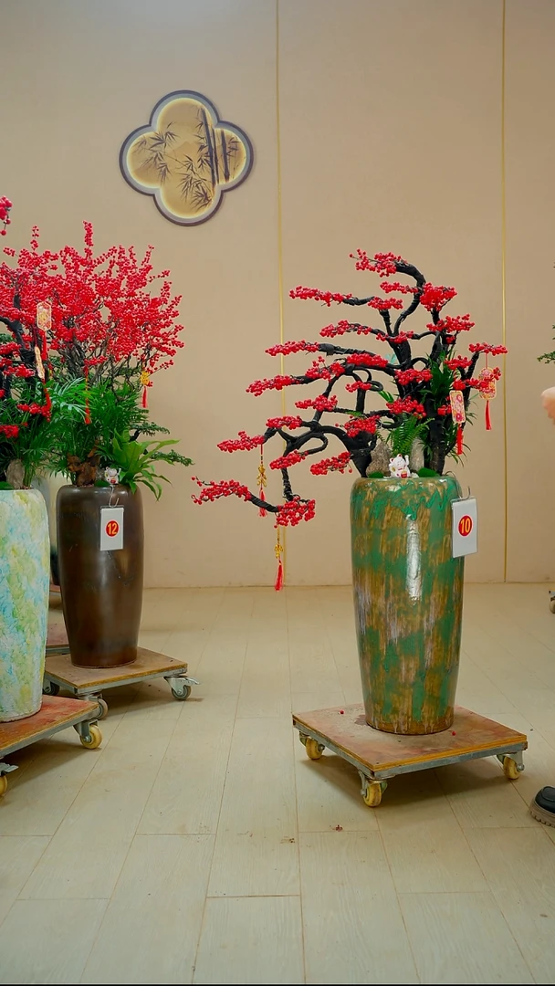 以实际为准交***厂北美冬青老桩造型盆景客厅办公室绿植花卉