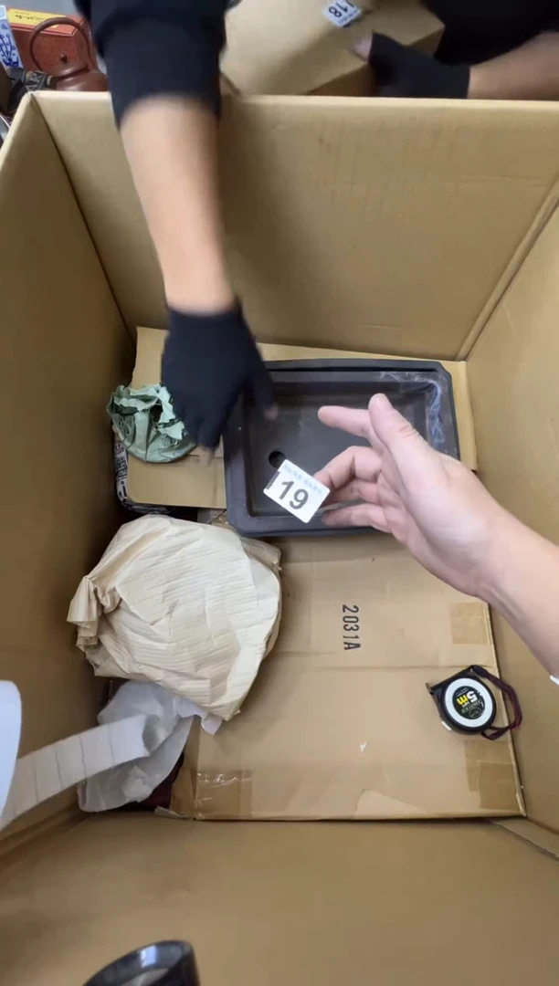 連*熊大熊精选舶来品二号119