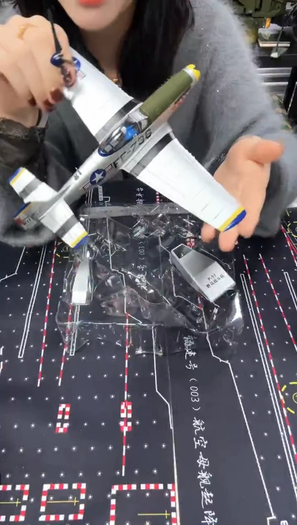 1/48合金飞机模型P51 模型飞虎队
