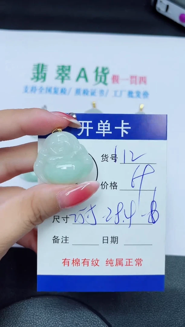 翡翠未镶嵌吊坠(赠链)112