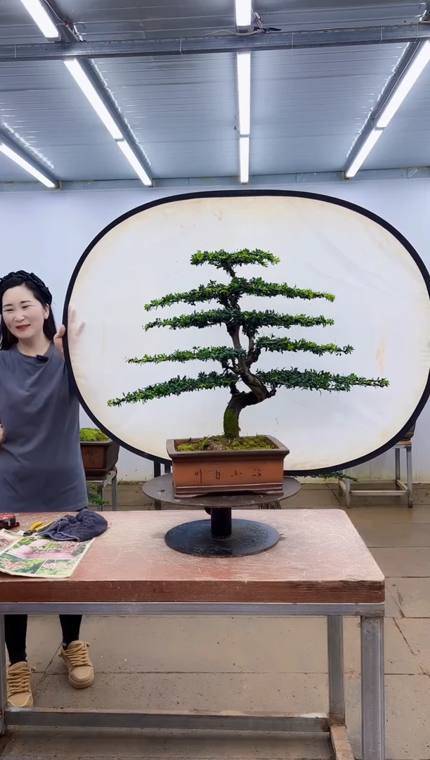无花朵用****7一物一拍，所见即所得