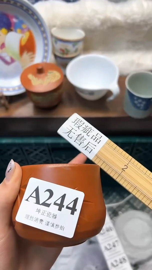 【闪购商品】瓷片          A244