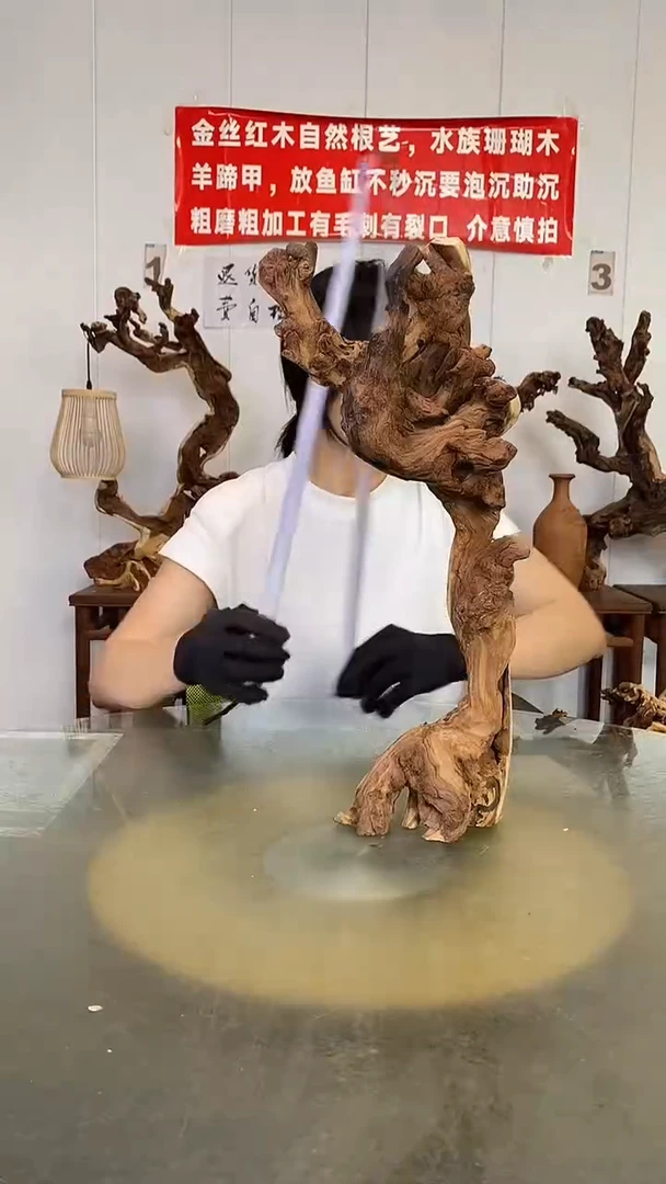 香榧木金丝红木 羊蹄甲