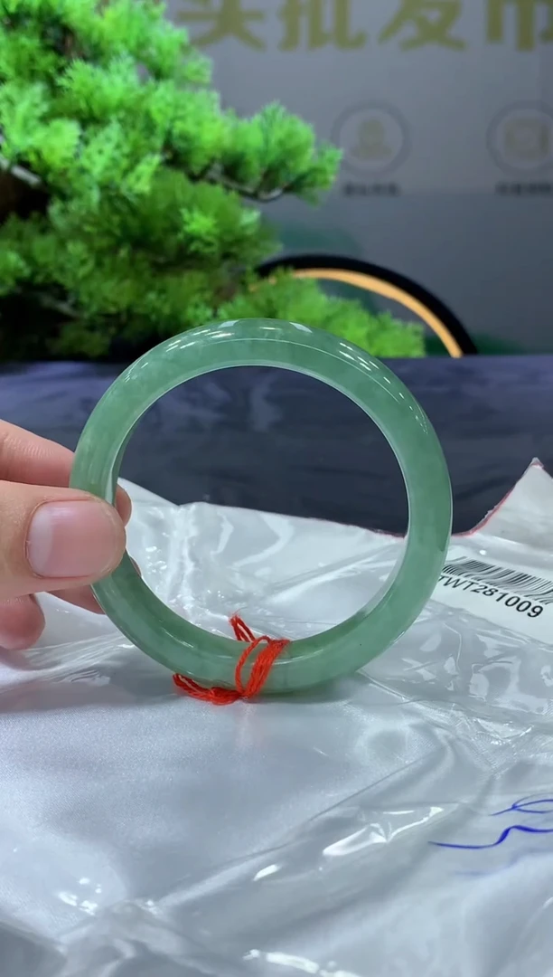 未镶嵌手镯翡翠翡翠手镯