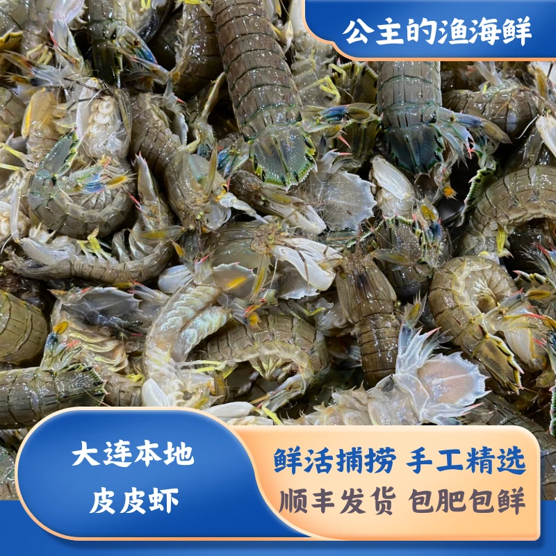 【正宗】旅顺黄龙尾 皮皮虾/虾爬，【2斤起拍】保肥保鲜不包活
