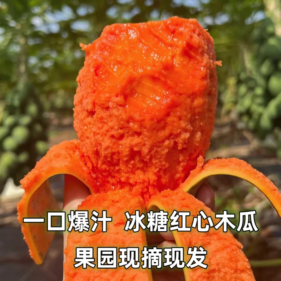 冰糖红心牛奶木瓜雷州红心木瓜软糯香甜多汁新鲜木瓜水果产地直发