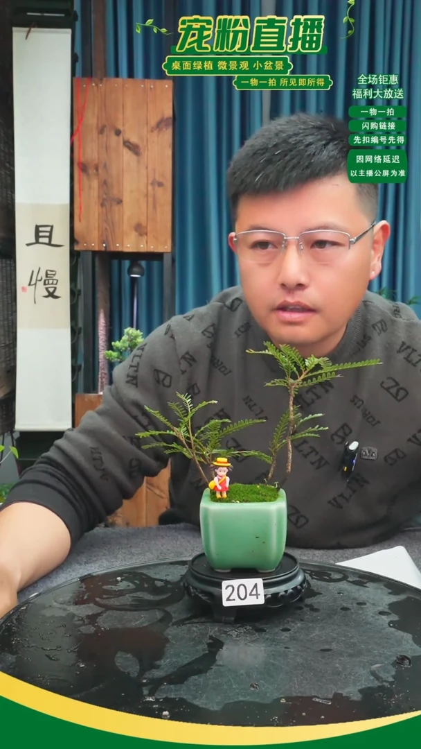 无花朵清**堂苔藓微景观204号