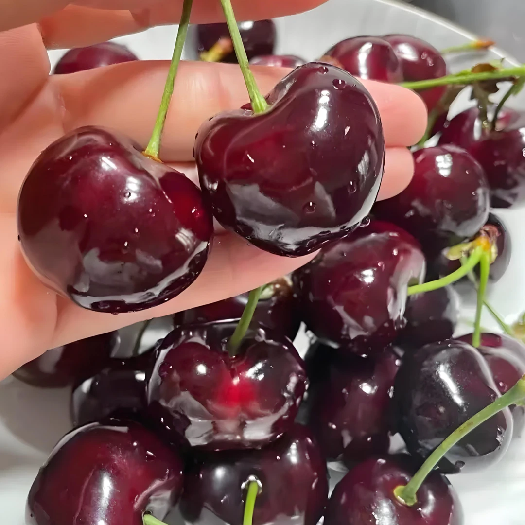 正宗烟台凉地美早大樱桃脆甜爆汁酸甜可口顺丰包邮