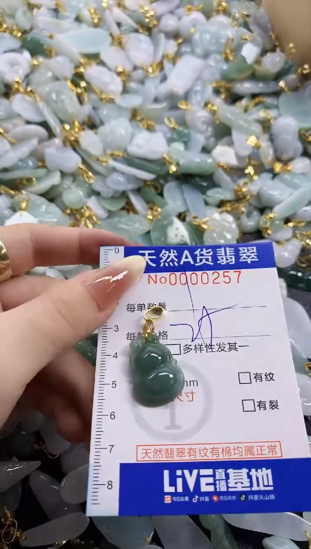 颈饰未镶嵌翡翠天然A货翡翠