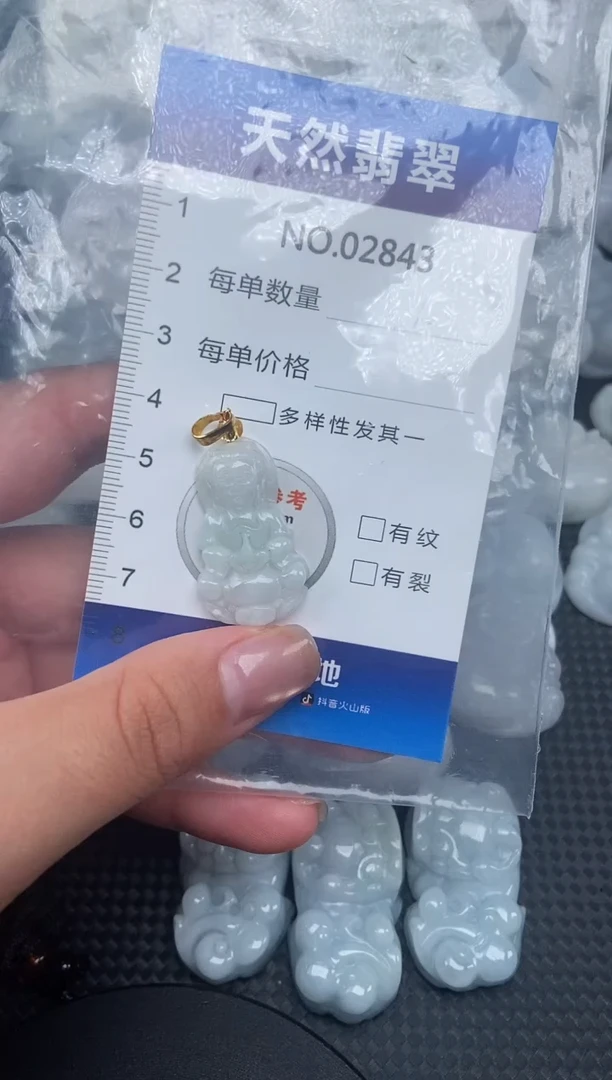颈饰未镶嵌翡翠纯天然A货翡翠2843