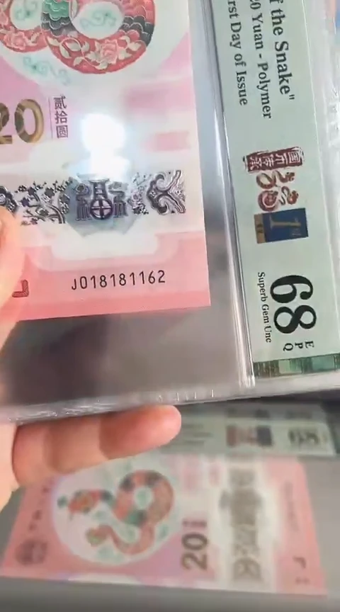 【闪购商品】塑料蛇钞单张018181162PMG68分