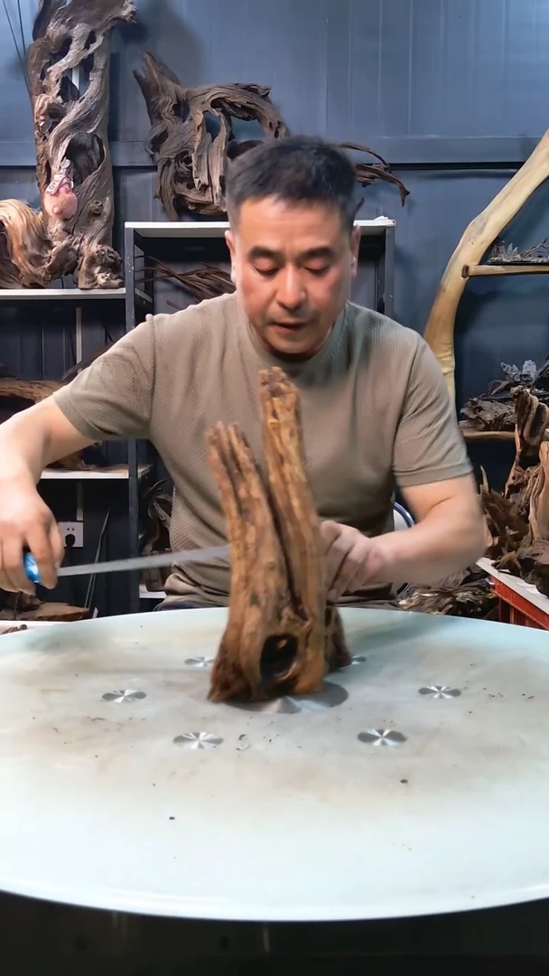 随机发货一个小号沉木9.9