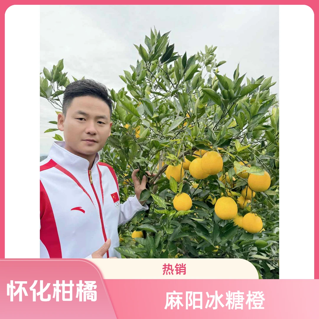 【冠军欧华文推荐】怀橘一号 纯甜无酸当季水果现摘现发 9斤