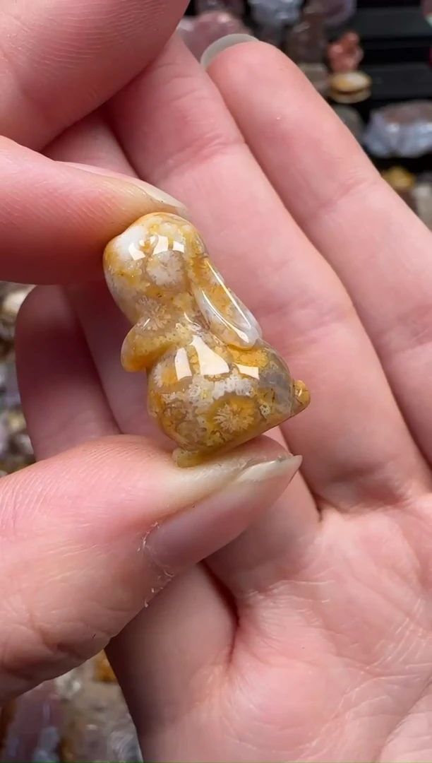 颈饰未镶嵌硅化珊瑚（珊瑚玉）586