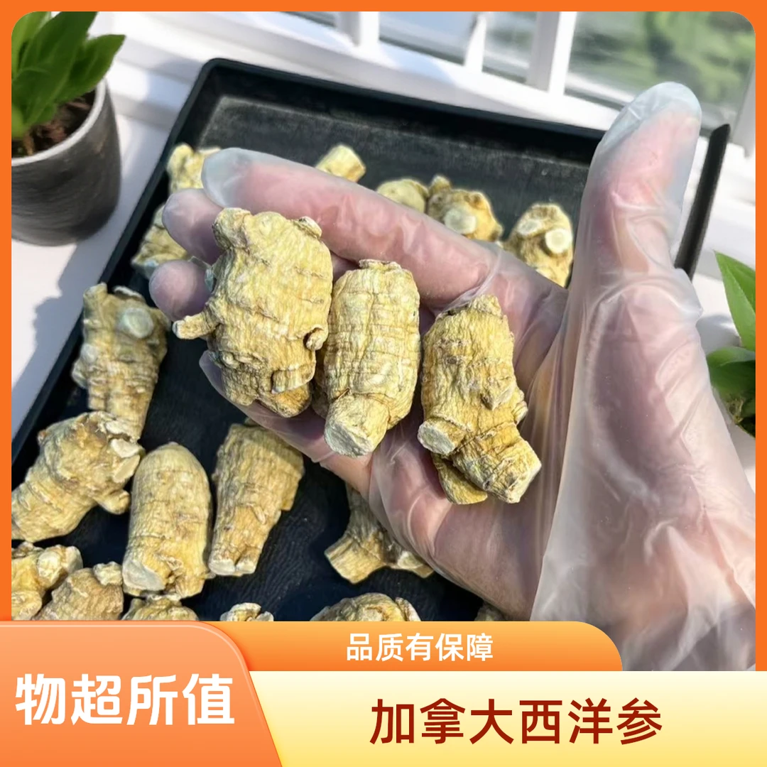 捡漏西洋参花旗参大参头软质足龄老参纹路清晰可切片磨粉煲汤美味