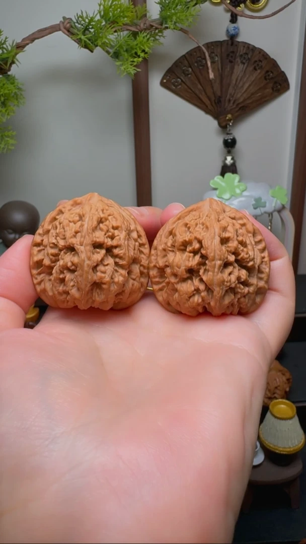 文玩核桃把件大粗筋货头