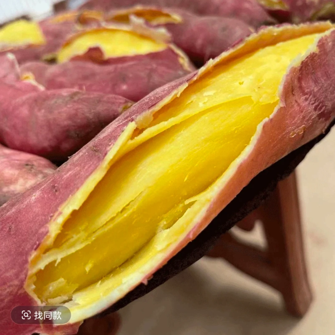 正宗沙地现挖新鲜板栗红薯粉糯甘甜农家自种黄心蜜薯