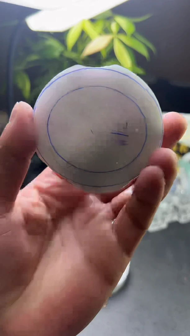 定制翡翠手镯未镶嵌SZ01DZS 不退换