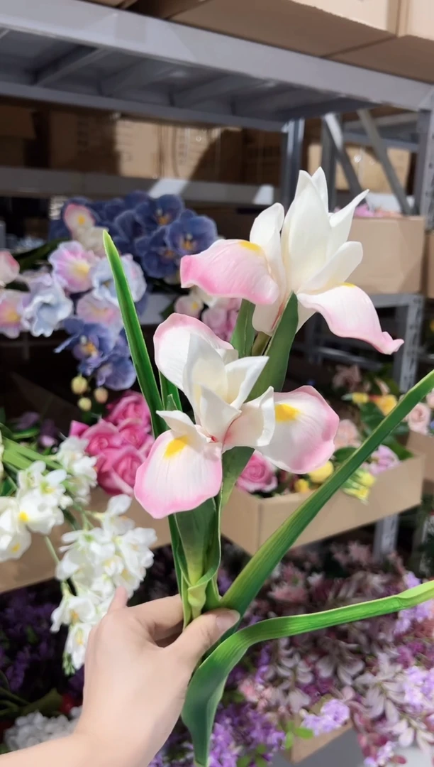 2枝粉色鸢尾花花