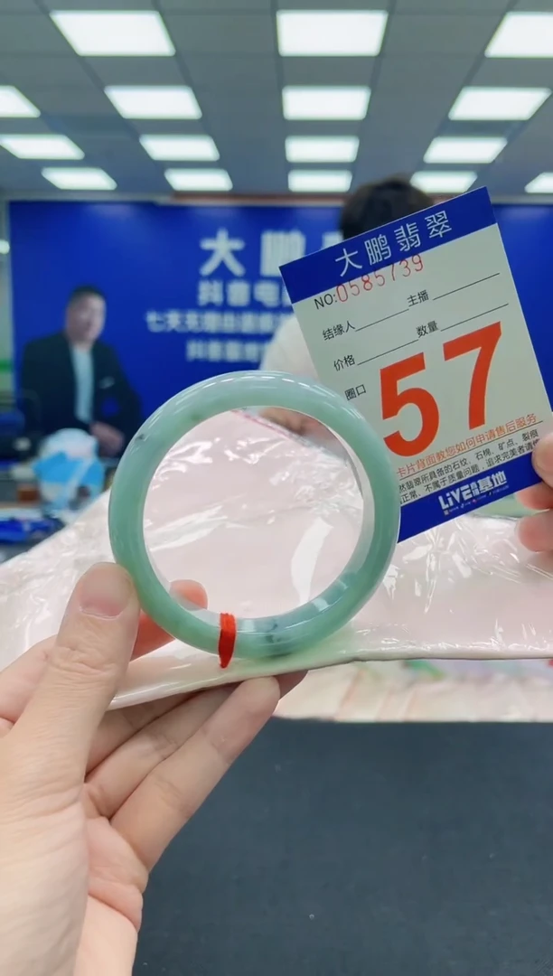未镶嵌手镯翡翠AAAAAAAAA