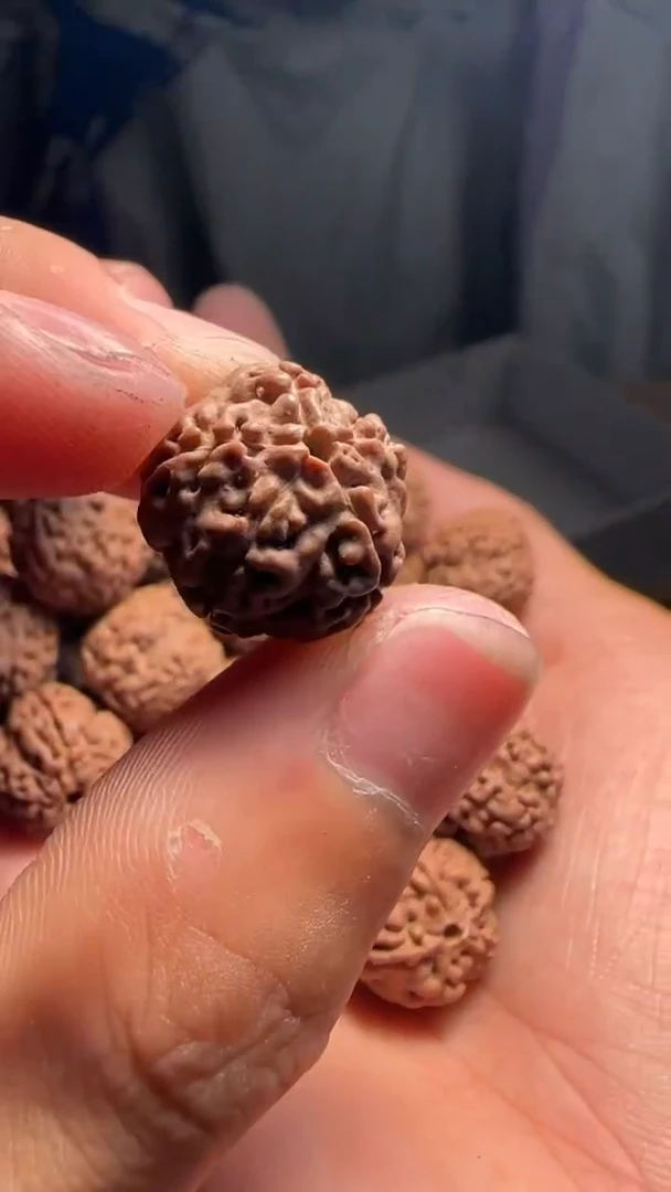 金刚菩提手串非全品老树玉梅花14-15mm一份一百颗