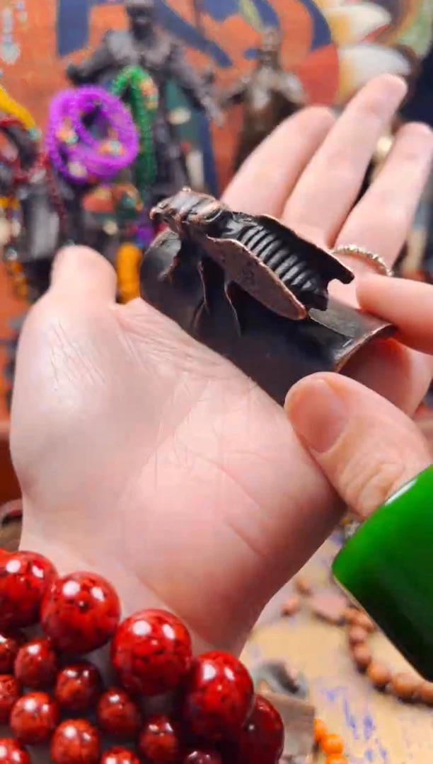 【闪购商品】飞姐专属精品推荐