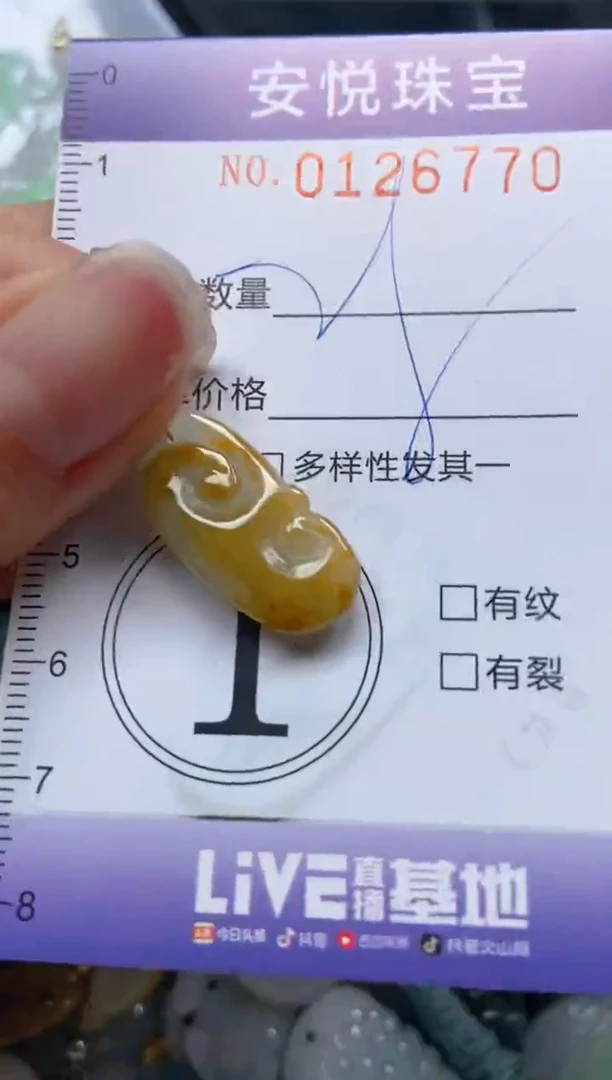 【闪购商品】翡翠颈饰未镶嵌闪购0126770