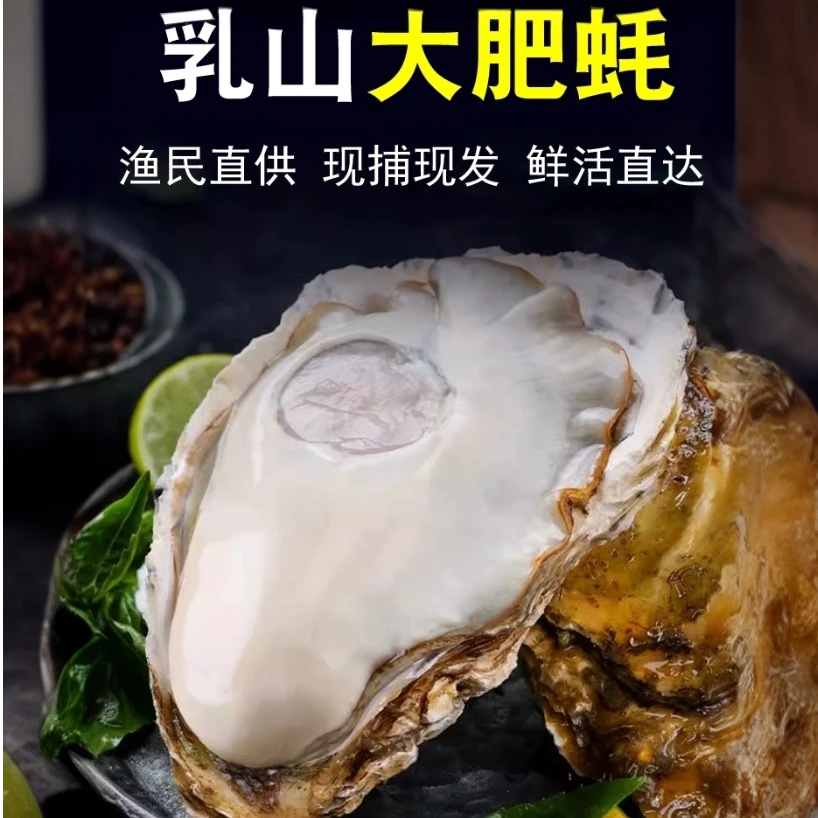 乳山生蚝（大合集）单只