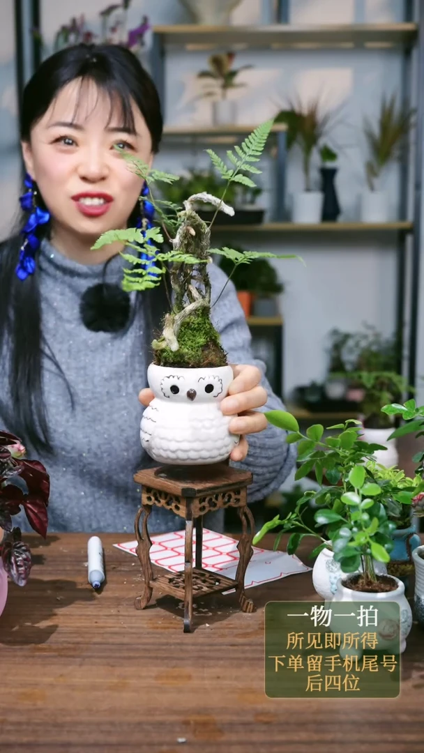 【闪购商品】26---9796海马几