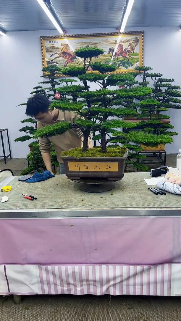 啊啊啊啊啊啊啊啊啊